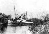 SS Waimarie steaming down the Waihou. 30 May 1907.